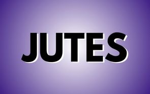 Jutes Presale Codes and Ticket Info Jutes Presale Codes and Ticket Info