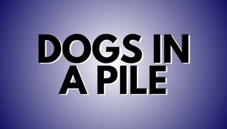 Dogs In A Pile Presale Codes and Ticket Info Dogs In A Pile Presale Codes and Ticket Info