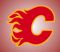 Calgary Flames Schedule And Ticket Info 2026
