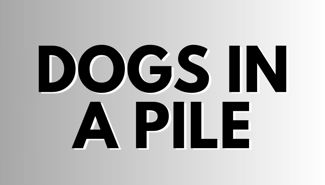 Dogs In A Pile Presale Codes and Ticket Info Dogs In A Pile Presale Codes and Ticket Info