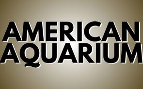 American Aquarium Presale Codes and Ticket Info