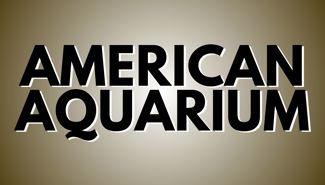 American Aquarium Presale Codes and Ticket Info