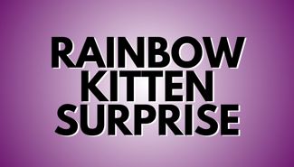 Rainbow Kitten Surprise Presale Codes and Ticket Info