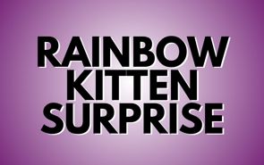 Rainbow Kitten Surprise Presale Codes and Ticket Info Rainbow Kitten Surprise Presale Codes and Ticket Info