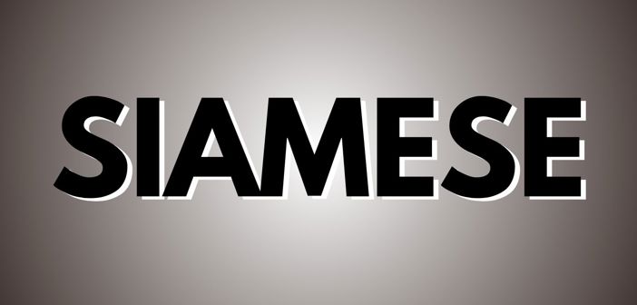 Siamese Presale Codes and Ticket Info