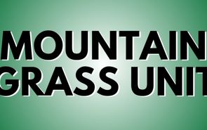 Mountain Grass Unit Presale Codes and Ticket Info