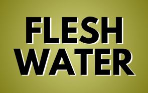 Fleshwater Presale Codes and Ticket Info