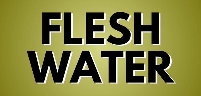 Fleshwater Presale Codes and Ticket Info