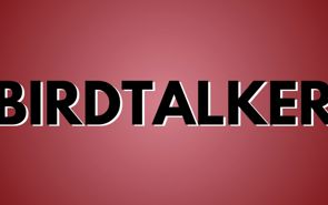 Birdtalker Presale Codes and Ticket Info