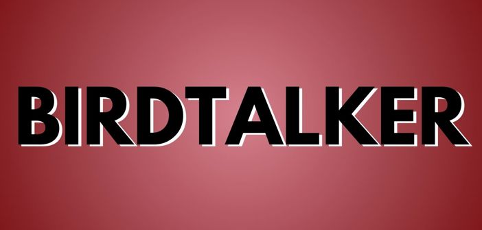 Birdtalker Presale Codes and Ticket Info