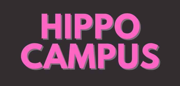 Hippo Campus Presale Codes and Ticket Info