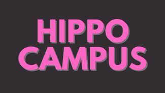 Hippo Campus Presale Codes and Ticket Info Hippo Campus Presale Codes and Ticket Info