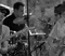 Umphrey's Mcgee Presale Codes and Ticket Info