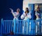 Mamma Mia! Presale Codes and Ticket Info