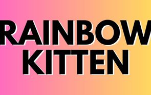 Rainbow Kitten Surprise Presale Codes and Ticket Info