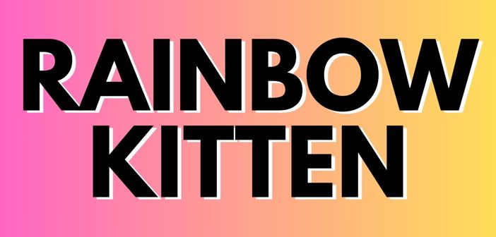 Rainbow Kitten Surprise Presale Codes and Ticket Info