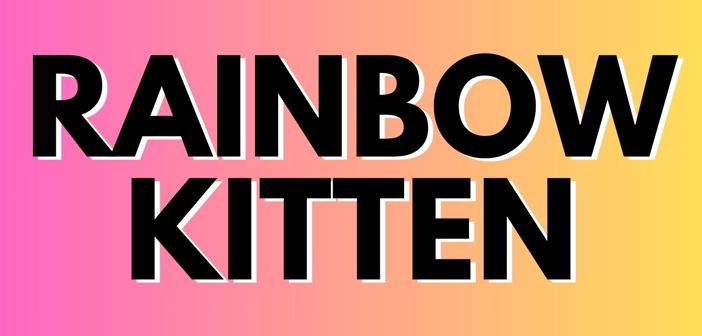 Rainbow Kitten Surprise Presale Codes and Ticket Info Rainbow Kitten Surprise Presale Codes and Ticket Info