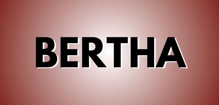 BERTHA Presale Codes and Ticket Info