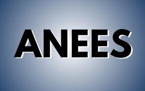 Anees Presale Codes and Ticket Info