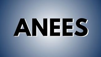 Anees Presale Codes and Ticket Info