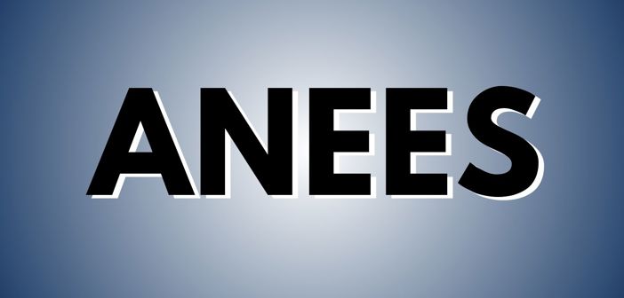 Anees Presale Codes and Ticket Info