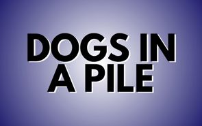 Dogs In A Pile Presale Codes and Ticket Info