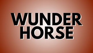 Wunderhorse Presale Codes and Ticket Info