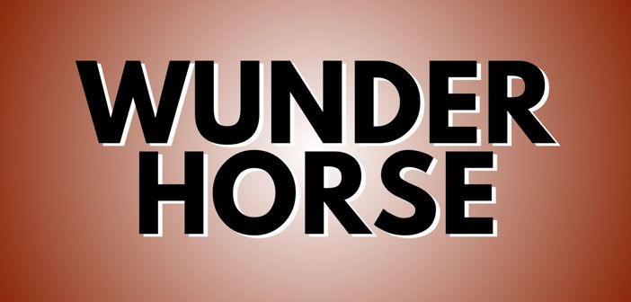 Wunderhorse Presale Codes and Ticket Info