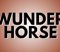 Wunderhorse Presale Codes and Ticket Info