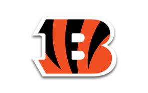 Cincinnati Bengals Schedule and Ticket Info Cincinnati Bengals Schedule and Ticket Info