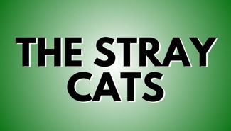 The Stray Cats Presale Codes and Ticket Info