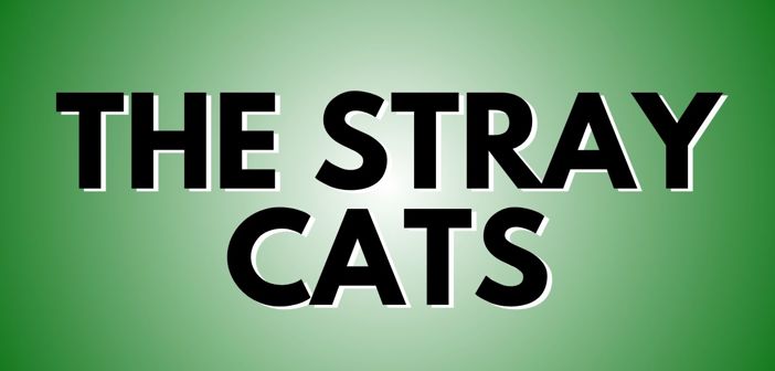 The Stray Cats Presale Codes and Ticket Info